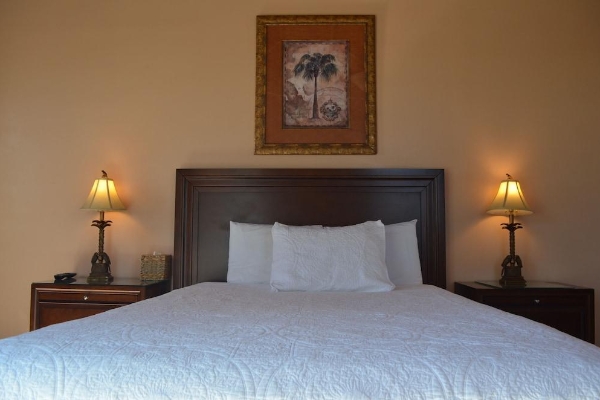 The Lazy Parrot Inn (Rincón)